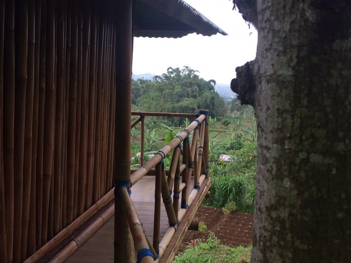 Apartmán Bali Tree House Pelangi Bedugul  Exteriér fotografie