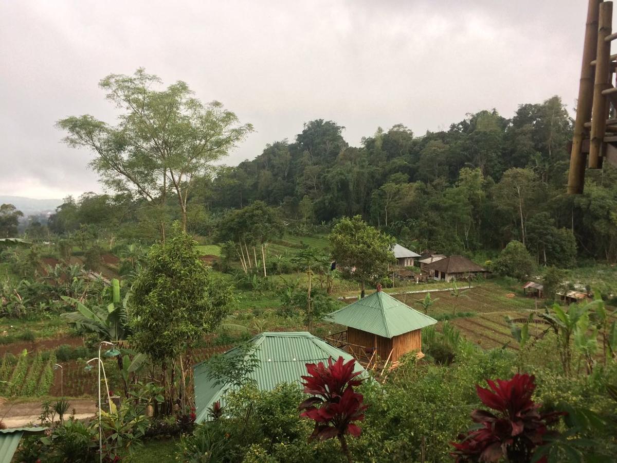 Apartmán Bali Tree House Pelangi Bedugul  Exteriér fotografie