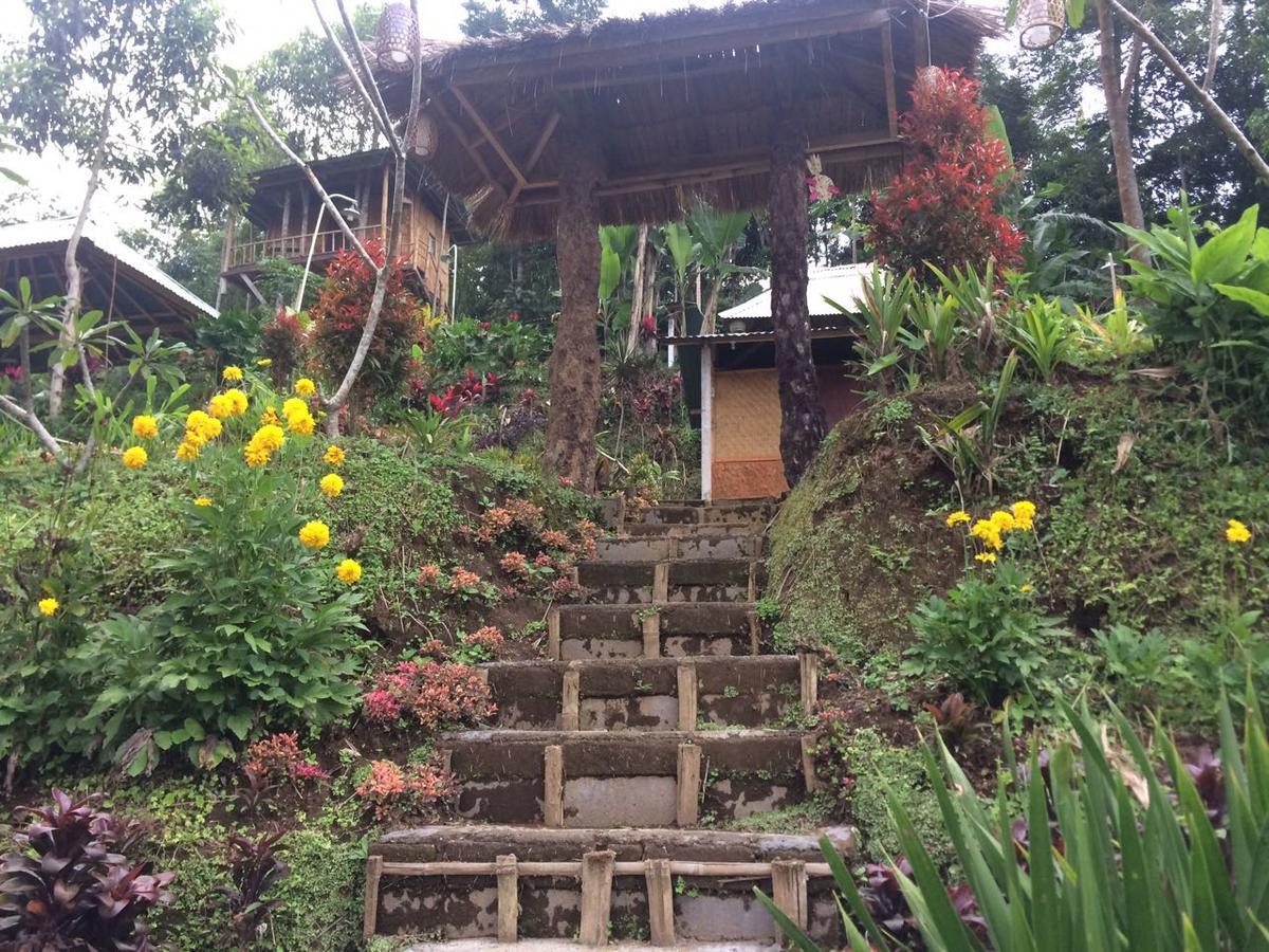 Apartmán Bali Tree House Pelangi Bedugul  Exteriér fotografie