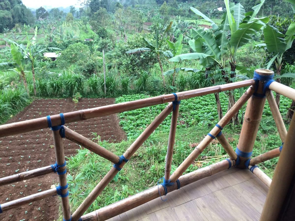 Apartmán Bali Tree House Pelangi Bedugul  Exteriér fotografie