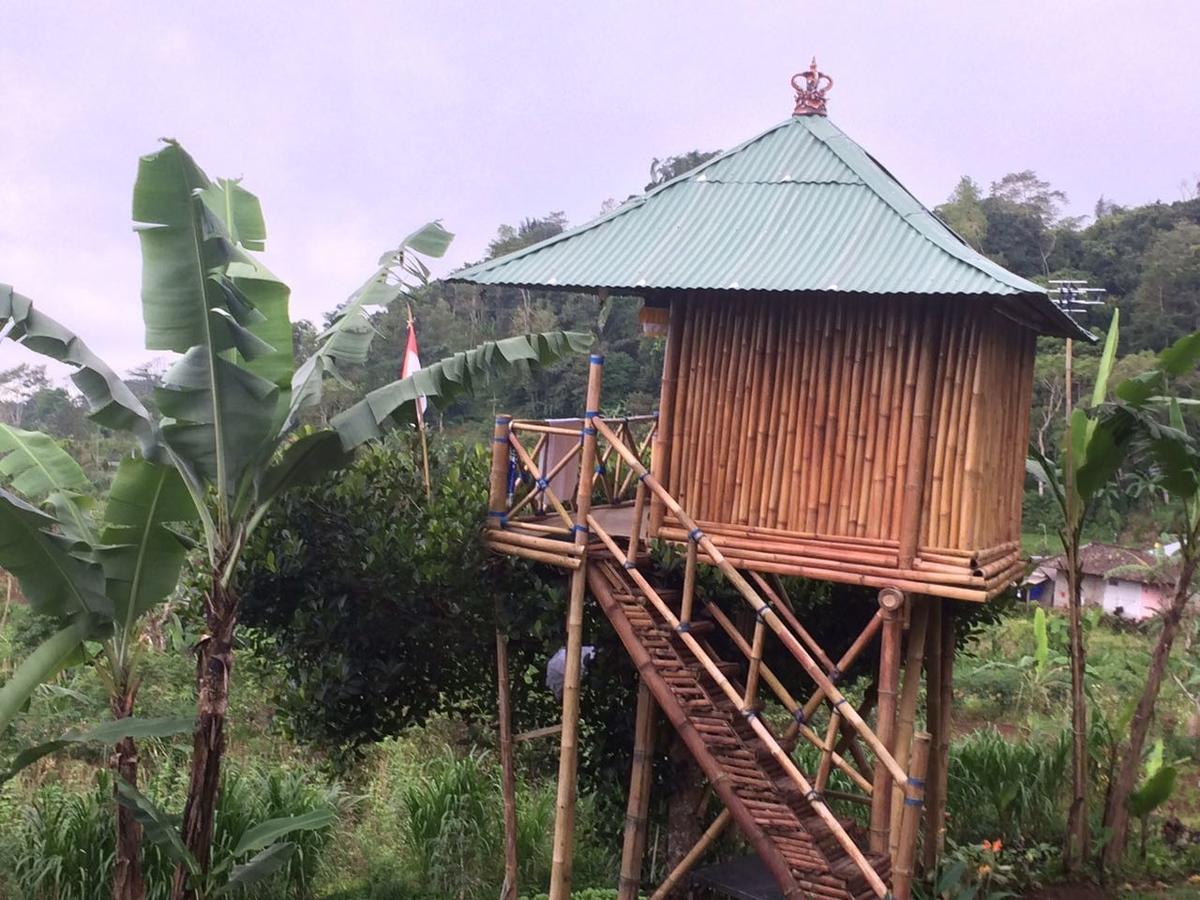 Apartmán Bali Tree House Pelangi Bedugul  Exteriér fotografie