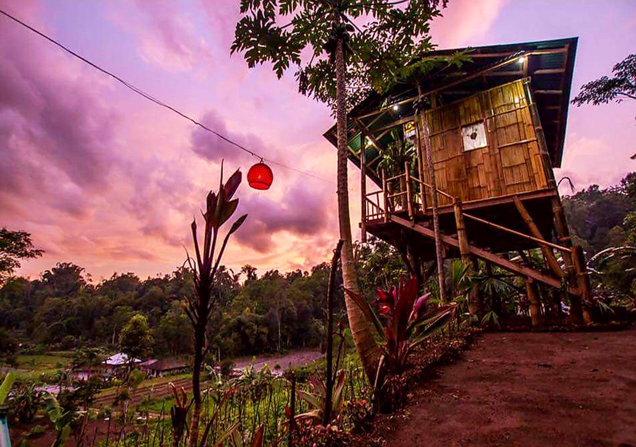Apartmán Bali Tree House Pelangi Bedugul  Exteriér fotografie