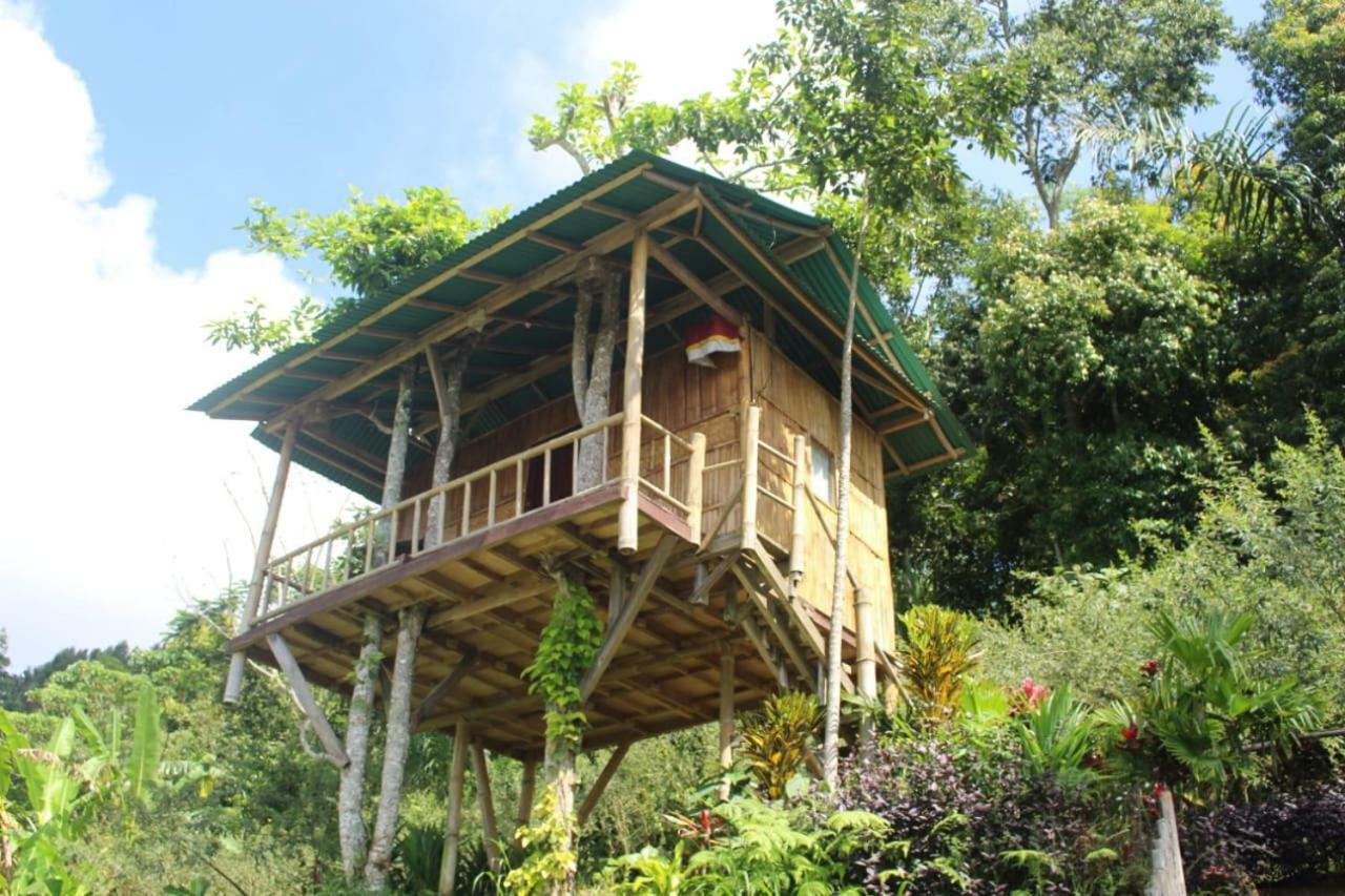Apartmán Bali Tree House Pelangi Bedugul  Exteriér fotografie