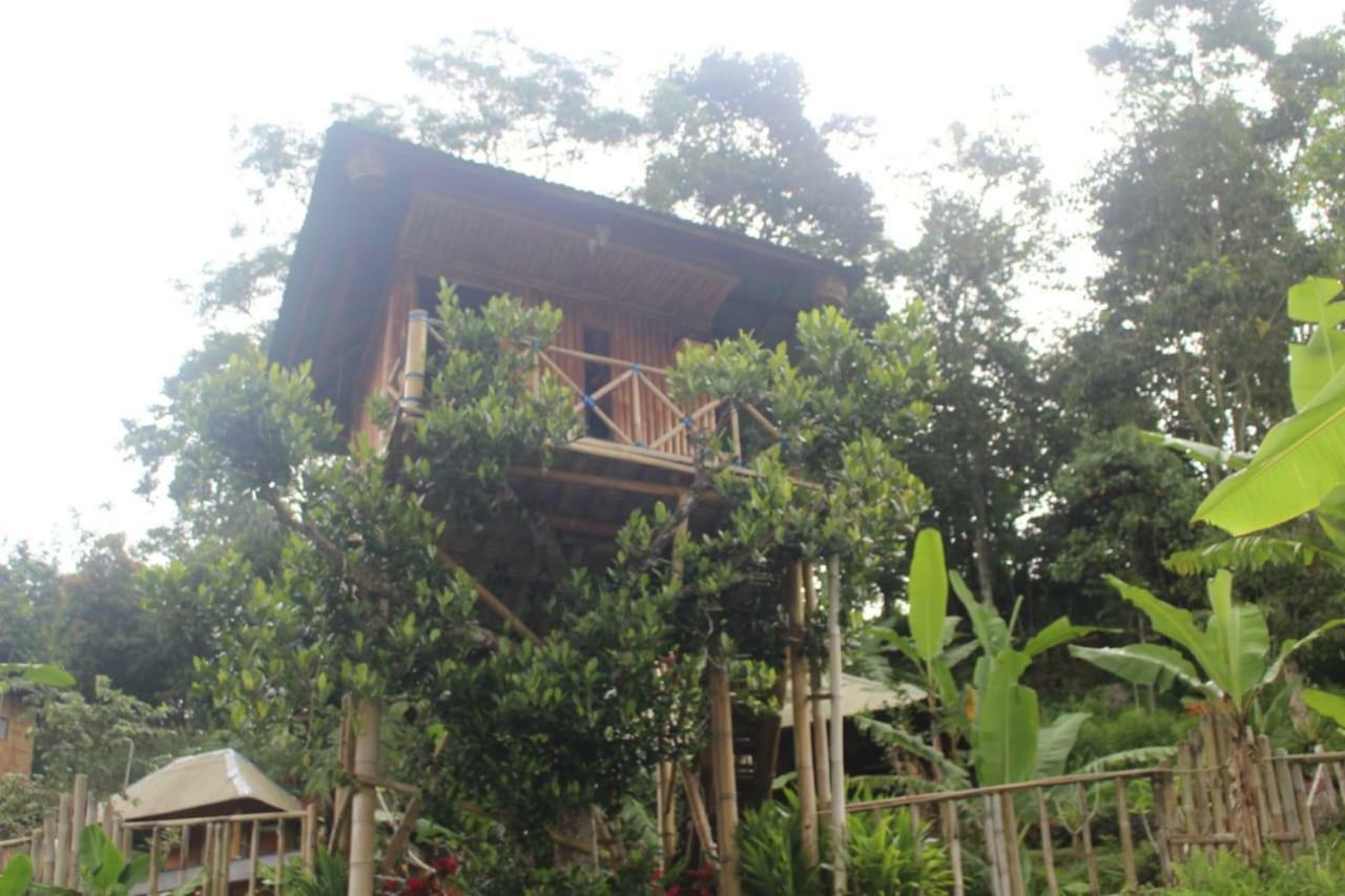Apartmán Bali Tree House Pelangi Bedugul  Exteriér fotografie