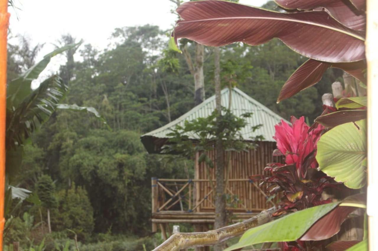 Apartmán Bali Tree House Pelangi Bedugul  Exteriér fotografie
