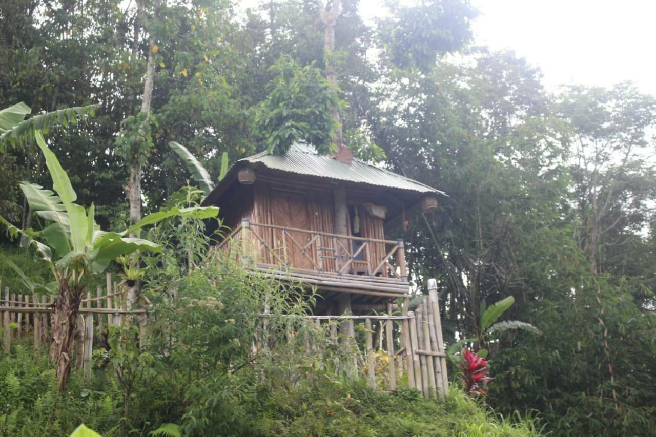 Apartmán Bali Tree House Pelangi Bedugul  Exteriér fotografie