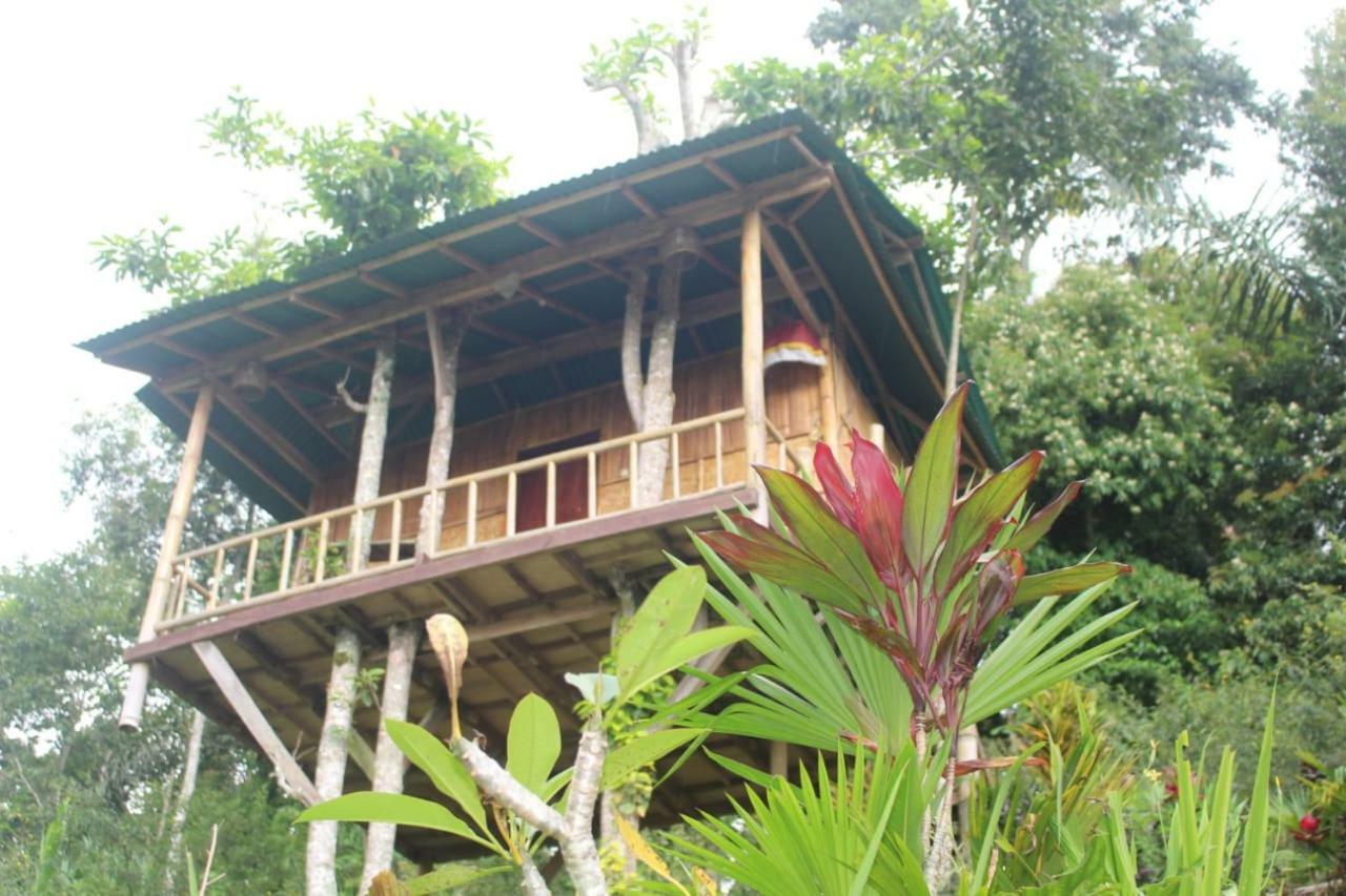 Apartmán Bali Tree House Pelangi Bedugul  Exteriér fotografie