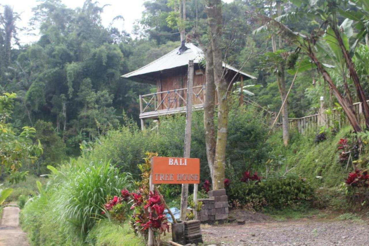 Apartmán Bali Tree House Pelangi Bedugul  Exteriér fotografie