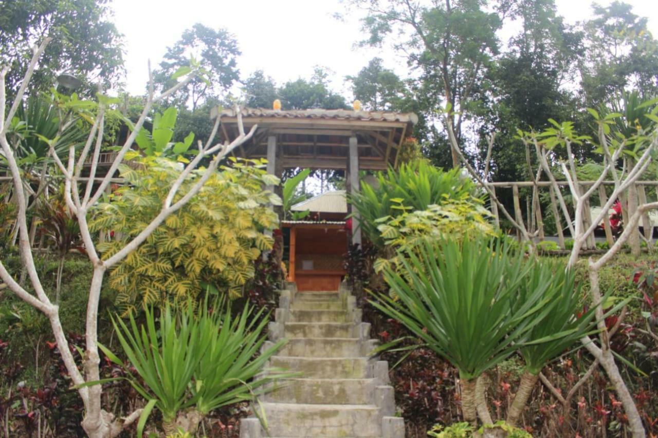 Apartmán Bali Tree House Pelangi Bedugul  Exteriér fotografie
