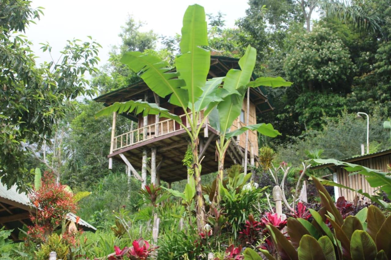 Apartmán Bali Tree House Pelangi Bedugul  Exteriér fotografie