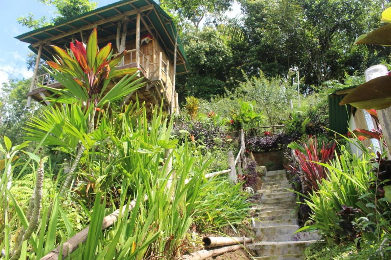 Apartmán Bali Tree House Pelangi Bedugul  Exteriér fotografie