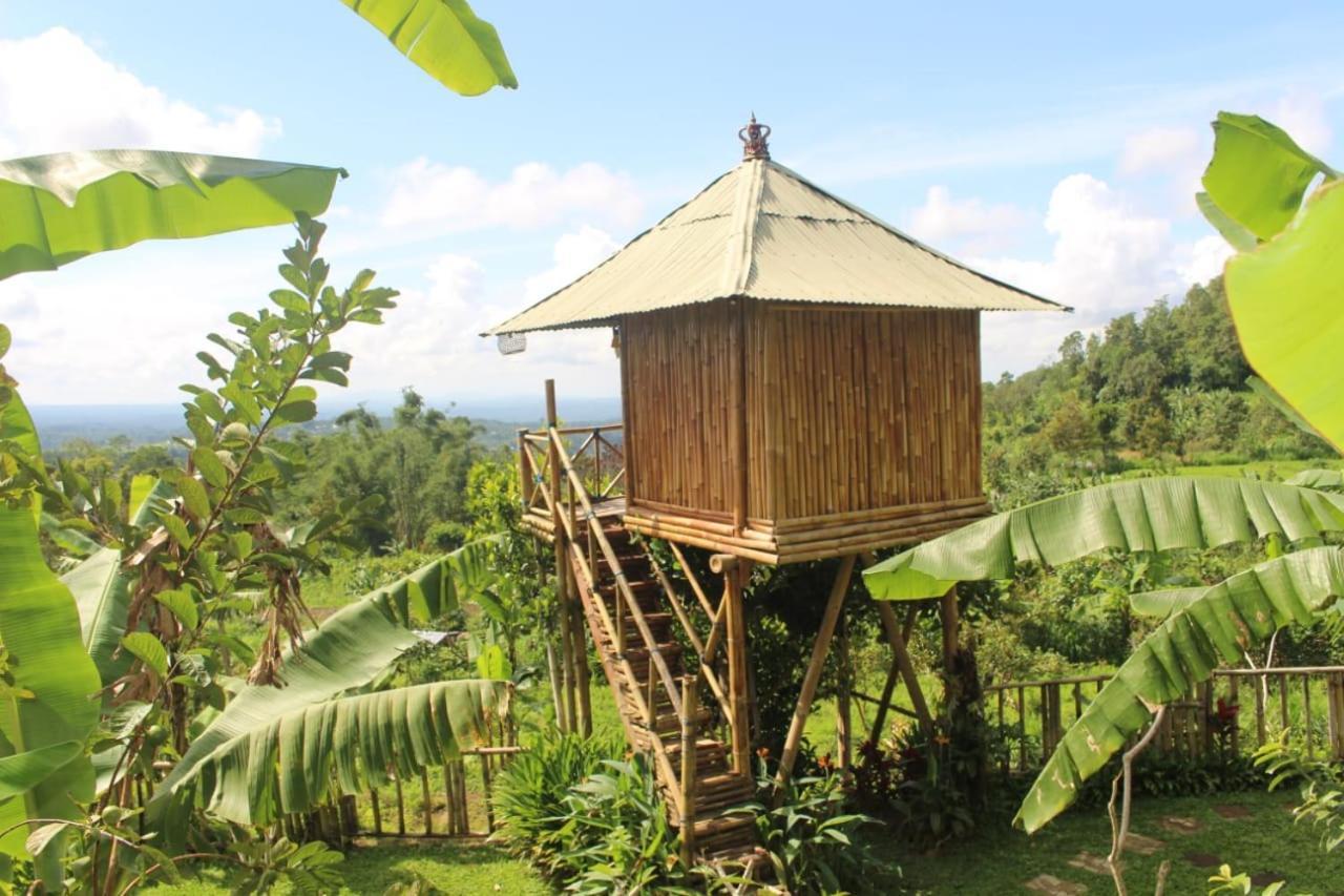 Apartmán Bali Tree House Pelangi Bedugul  Exteriér fotografie