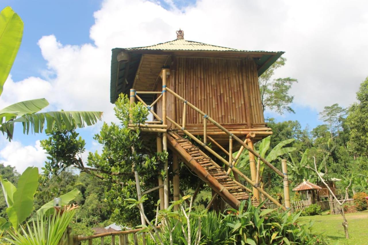 Apartmán Bali Tree House Pelangi Bedugul  Exteriér fotografie