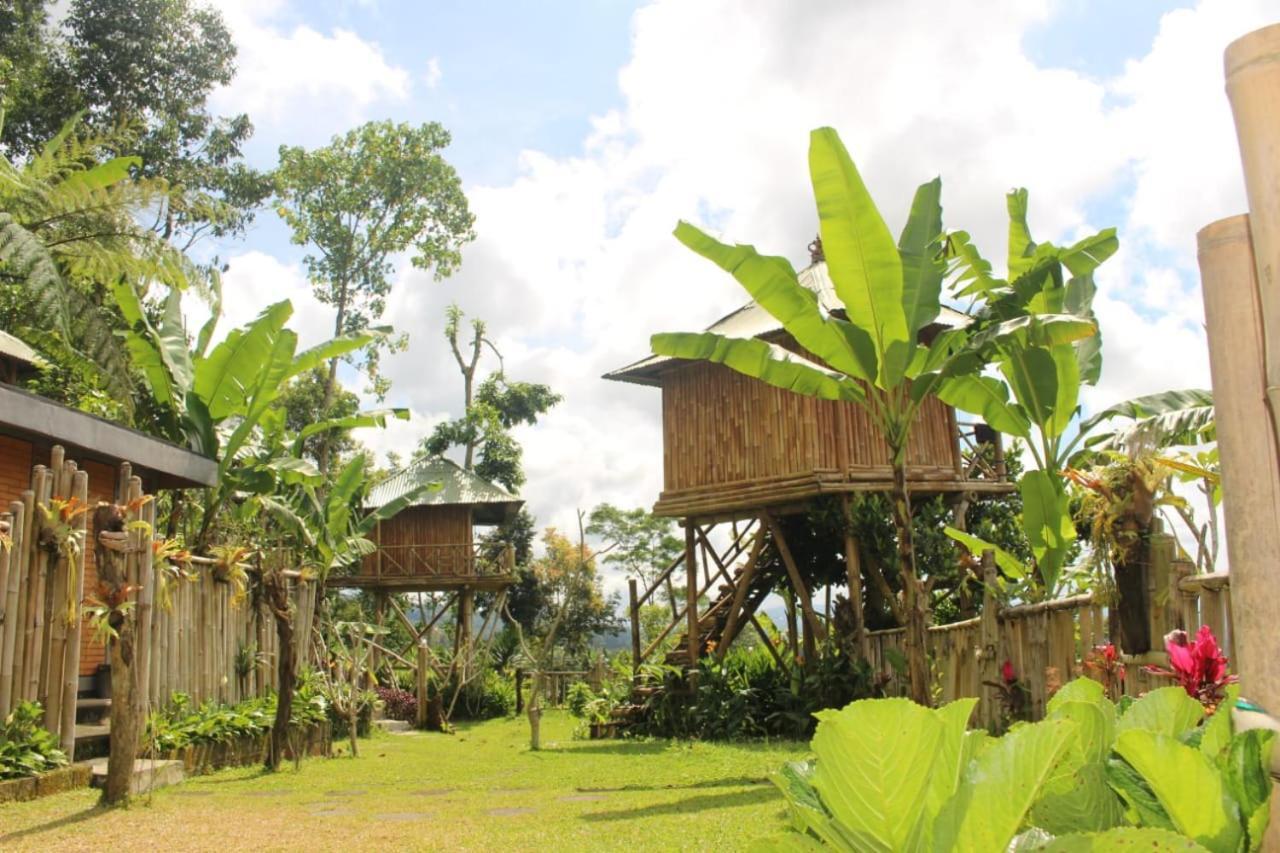 Apartmán Bali Tree House Pelangi Bedugul  Exteriér fotografie