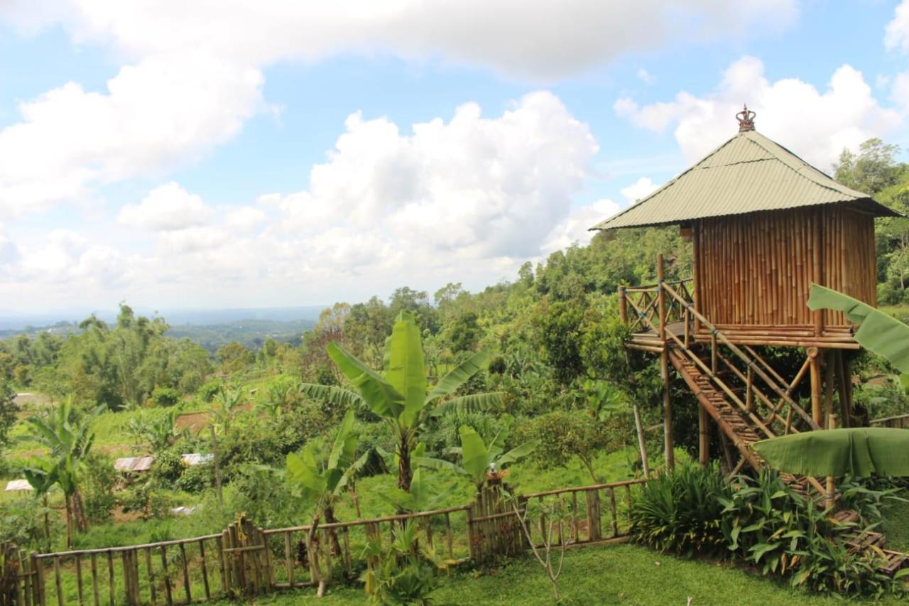 Apartmán Bali Tree House Pelangi Bedugul  Exteriér fotografie
