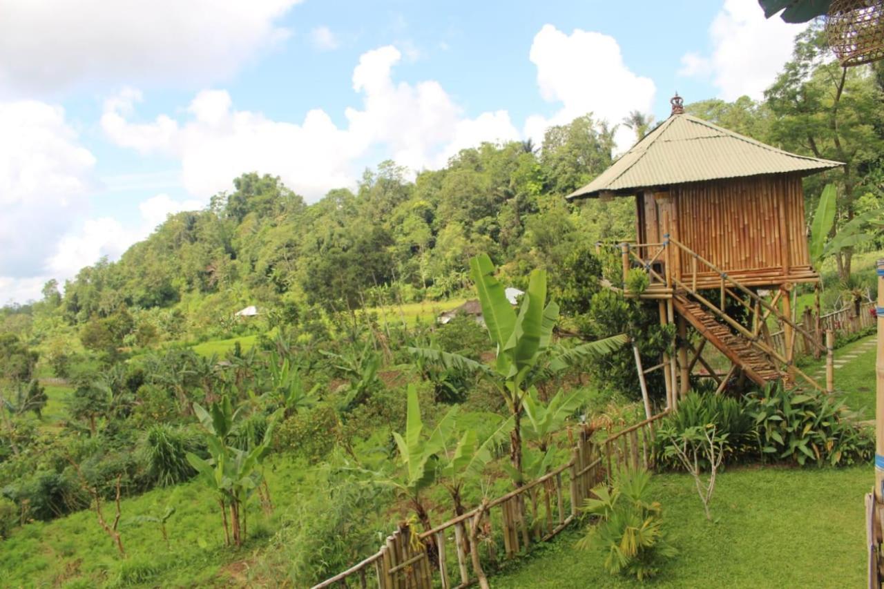 Apartmán Bali Tree House Pelangi Bedugul  Exteriér fotografie