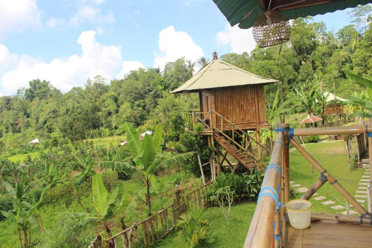 Apartmán Bali Tree House Pelangi Bedugul  Exteriér fotografie