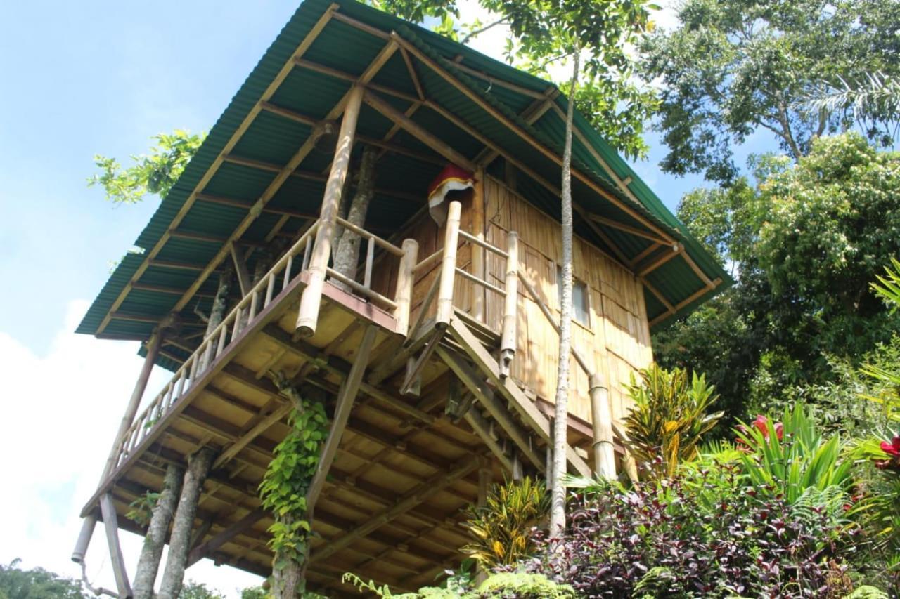 Apartmán Bali Tree House Pelangi Bedugul  Exteriér fotografie
