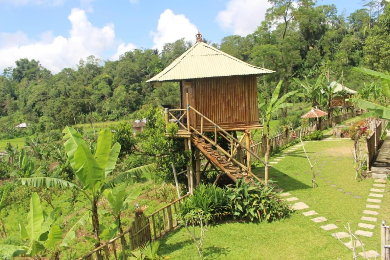 Apartmán Bali Tree House Pelangi Bedugul  Exteriér fotografie