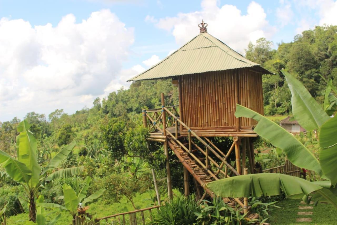 Apartmán Bali Tree House Pelangi Bedugul  Exteriér fotografie
