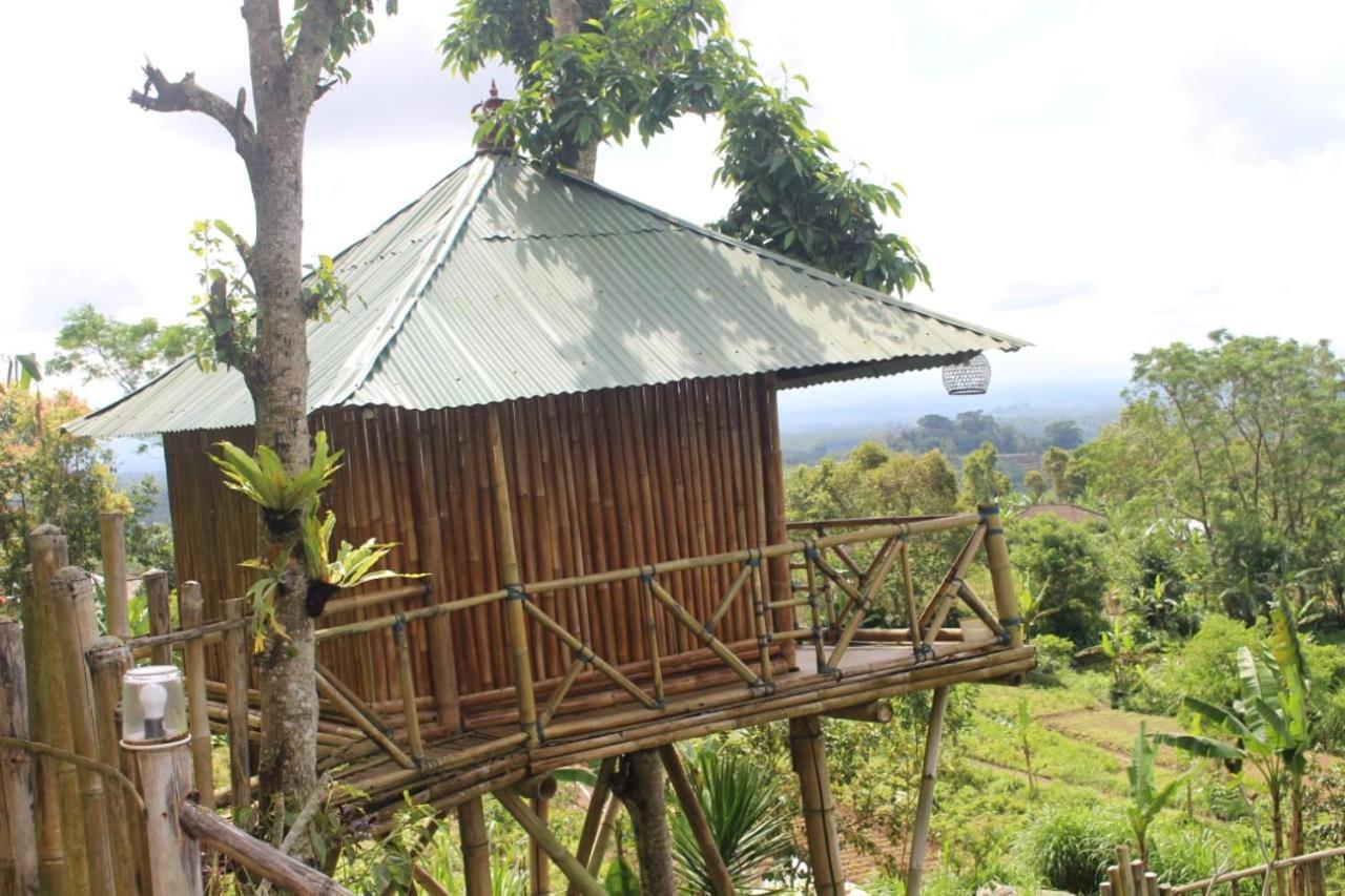 Apartmán Bali Tree House Pelangi Bedugul  Exteriér fotografie