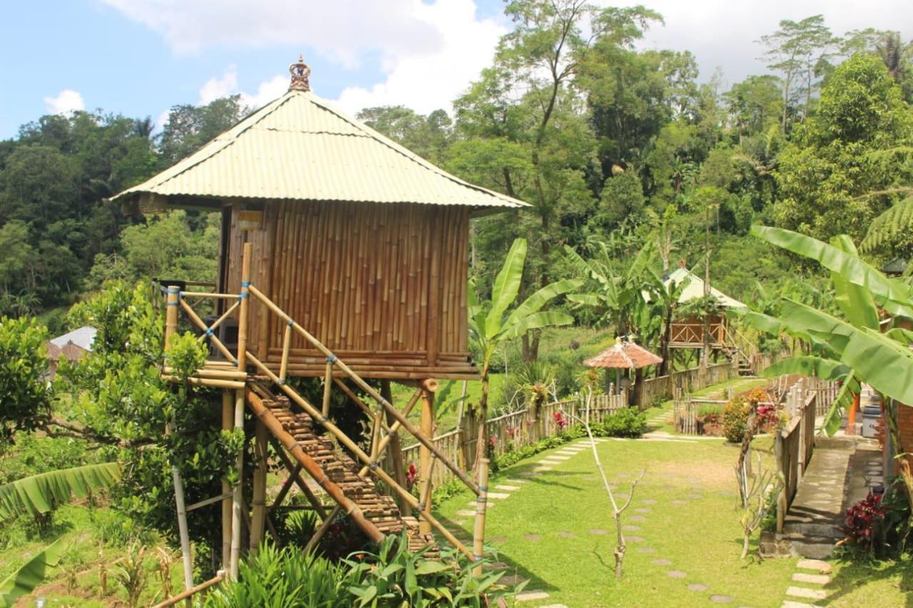 Apartmán Bali Tree House Pelangi Bedugul  Exteriér fotografie