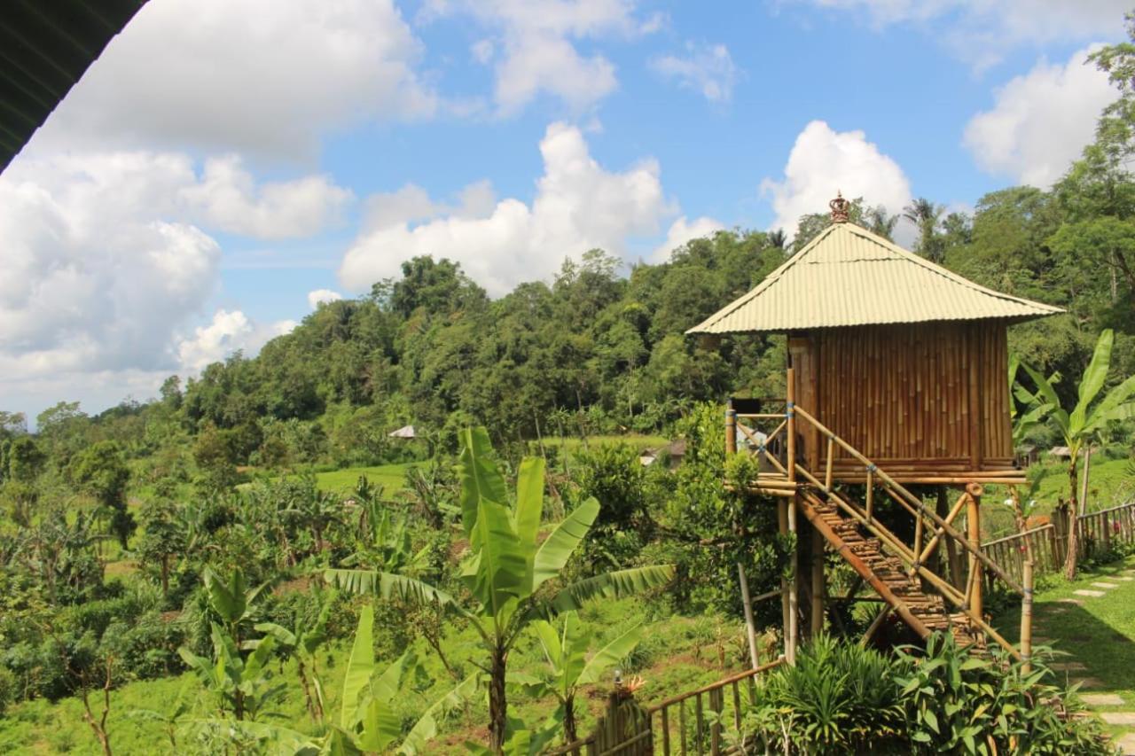 Apartmán Bali Tree House Pelangi Bedugul  Exteriér fotografie